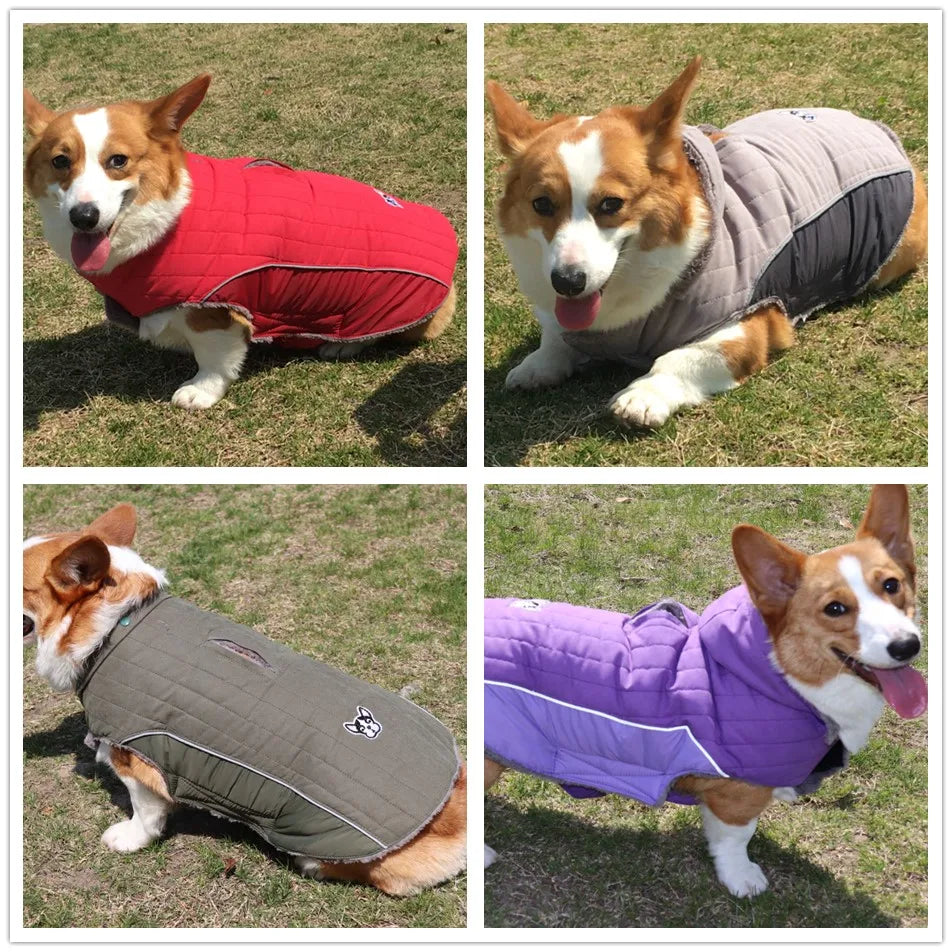 Vêtements d'hiver pour chien en polaire épaisse, vêtements chauds pour chien, veste d'hiver réfléchissante réglable sur le ventre, manteau matelassé pour chien, capuche amovible, Style à la mode