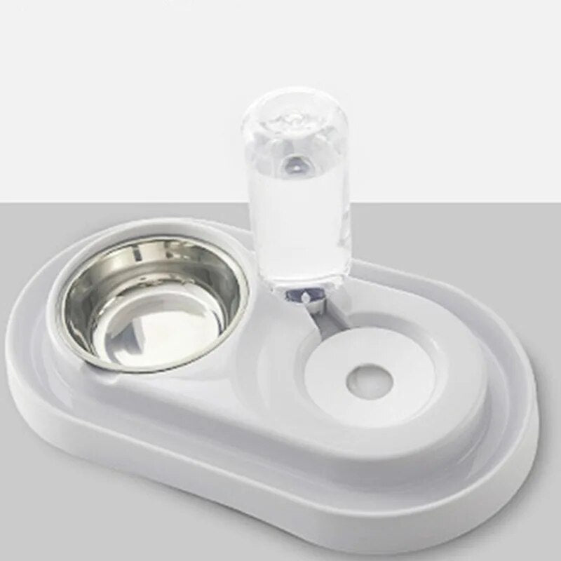 Double bol pour chien, bassin de nourriture, bassin de riz pour chien et chat, distributeur d'eau automatique, manger, boire de l'eau, fournitures pour animaux de compagnie