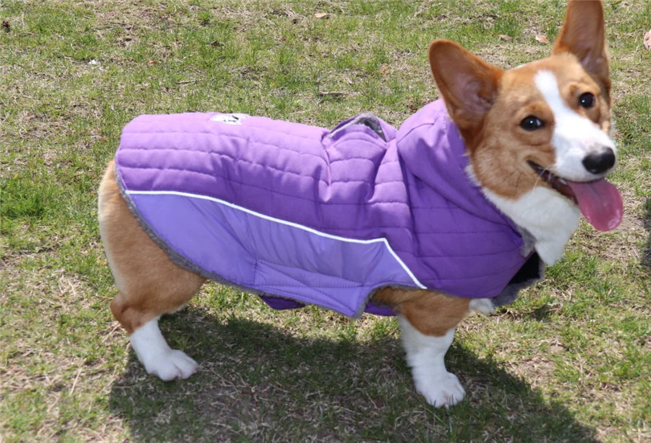 Ropa de invierno para perros Ropa gruesa de lana cálida para perros Chaqueta de invierno para perros Reflectante Ajustable Vientre Acolchado Abrigo para perros Capucha extraíble Estilo de moda