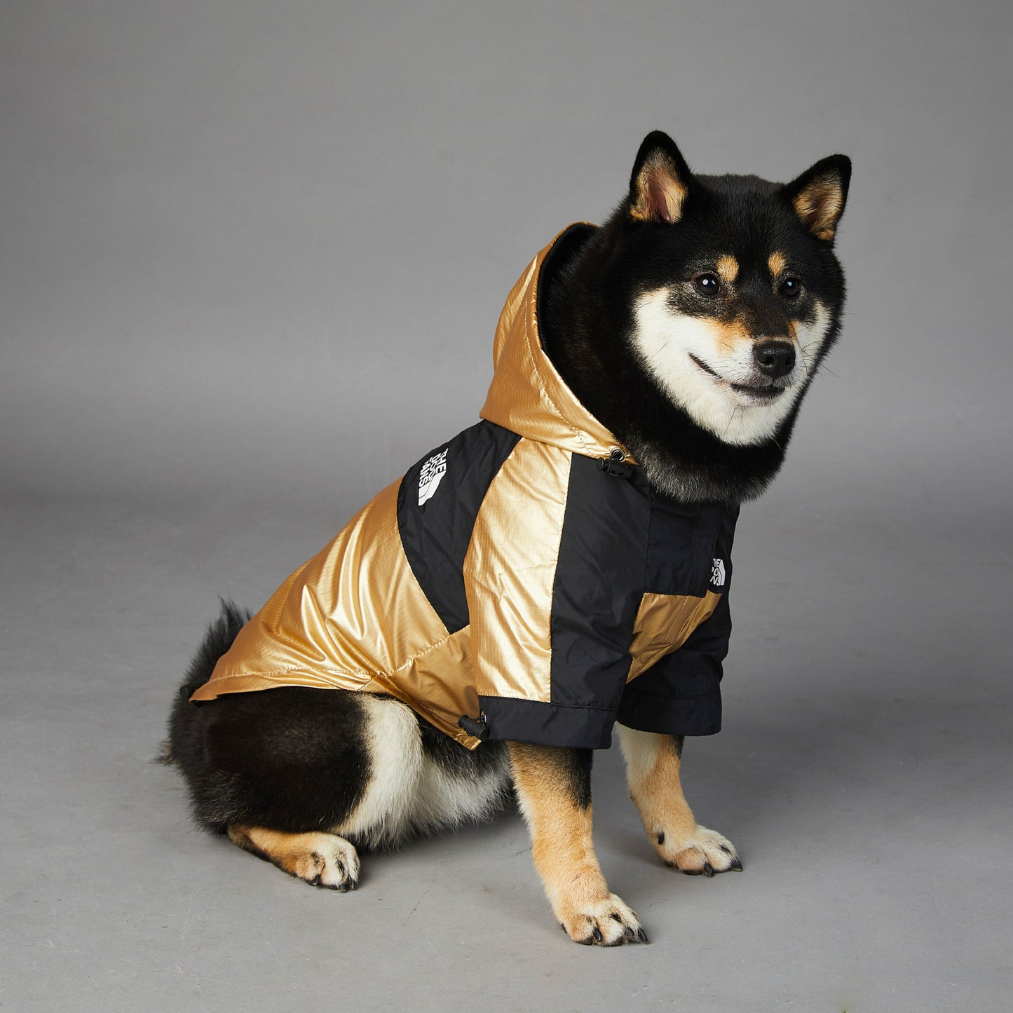 Windproof And Rainproof Dog Large Dog Raincoat Shell Jacket