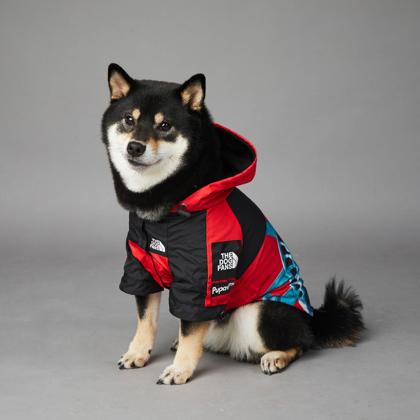 Chaqueta Shell para mascotas a prueba de viento y lluvia