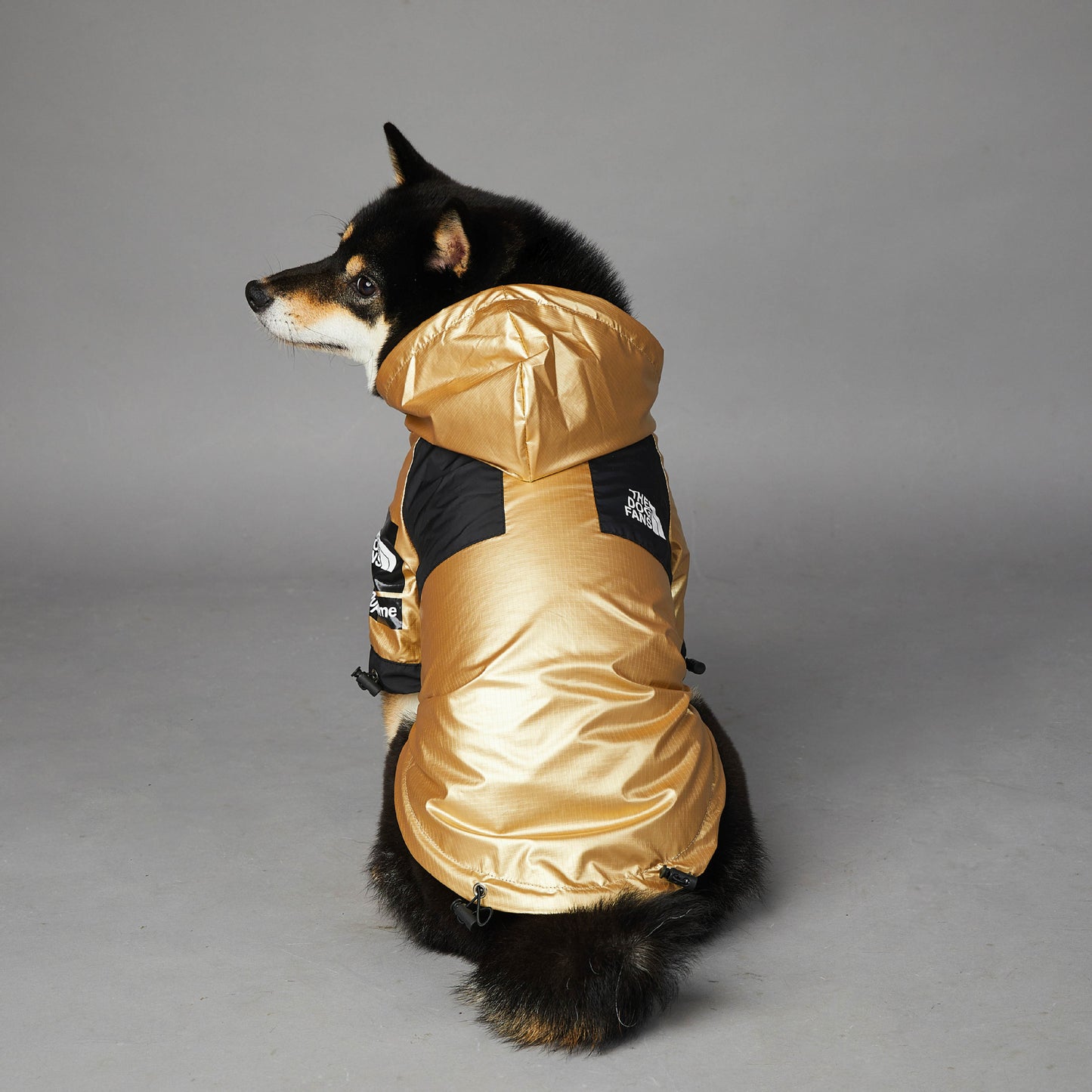 Veste imperméable coupe-vent et imperméable pour chien de grande taille