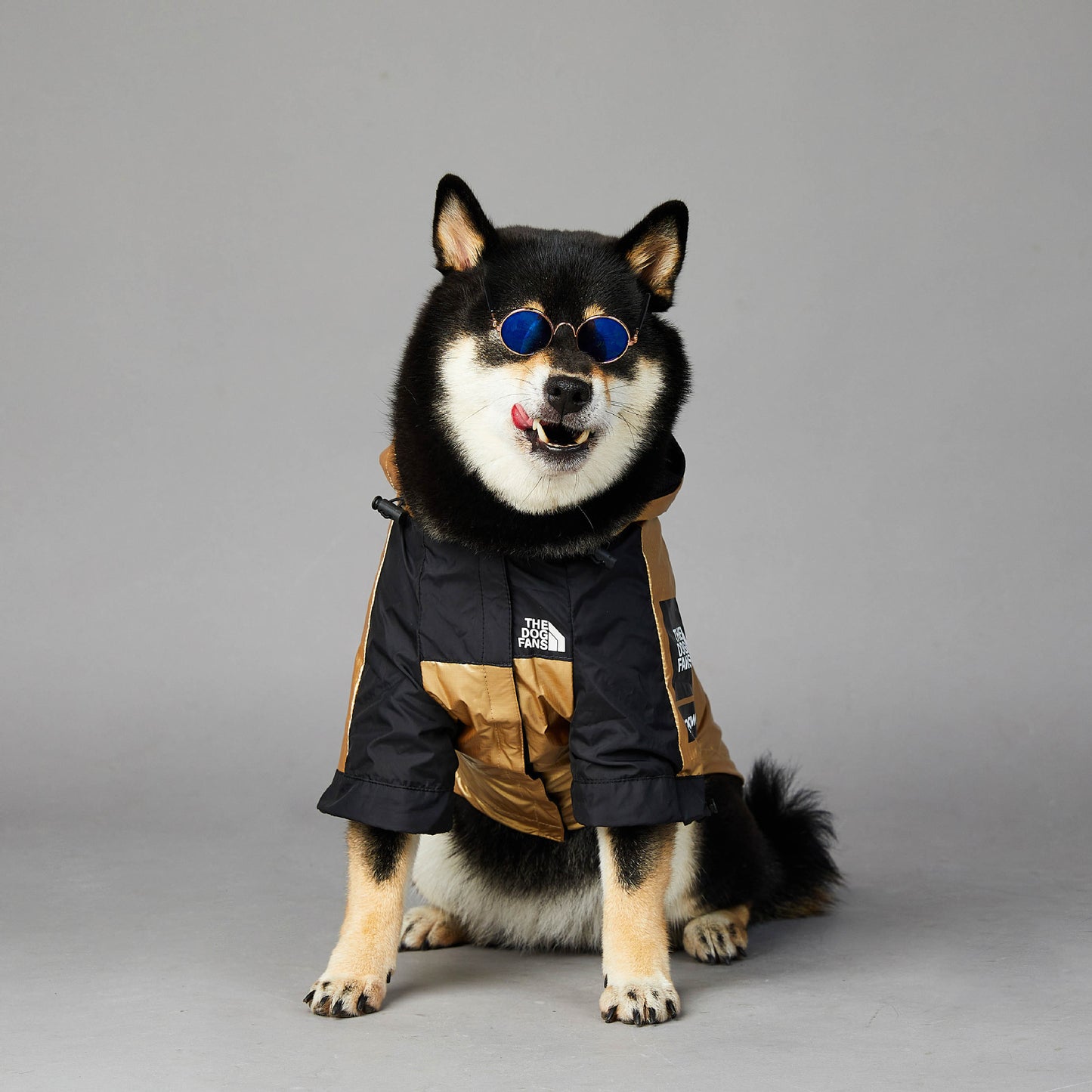 Chaqueta impermeable para perros grandes, resistente al viento y a la lluvia