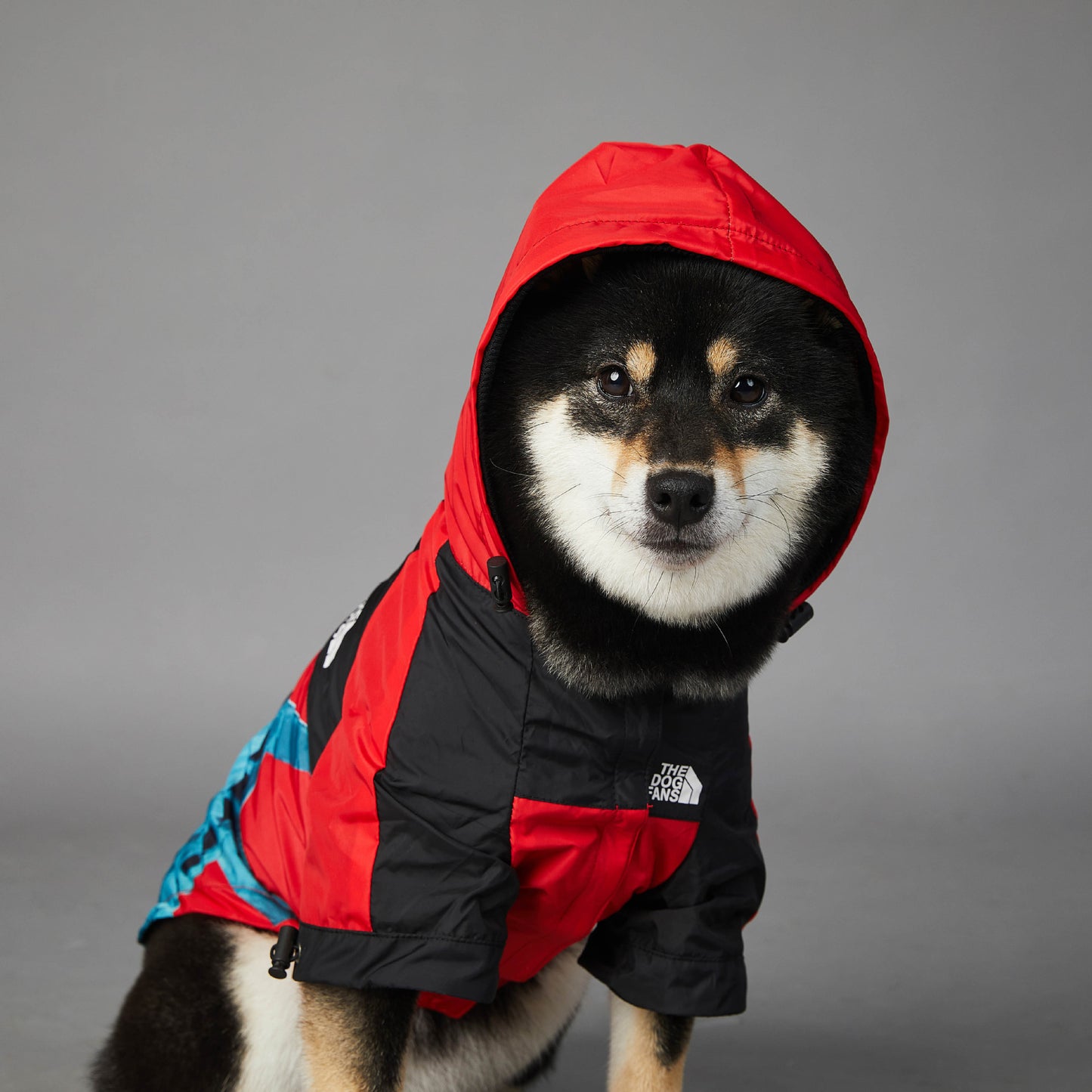 Veste pour chien coupe-vent et imperméable pour animaux de compagnie