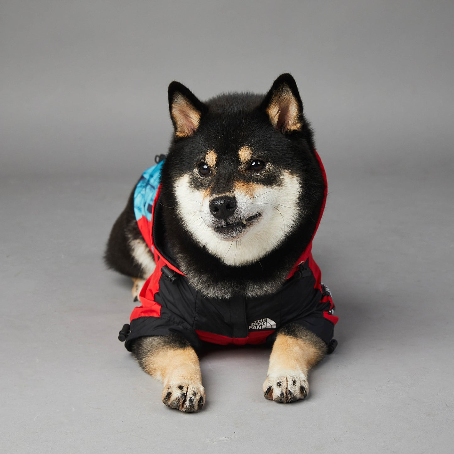 Chaqueta Shell para mascotas a prueba de viento y lluvia