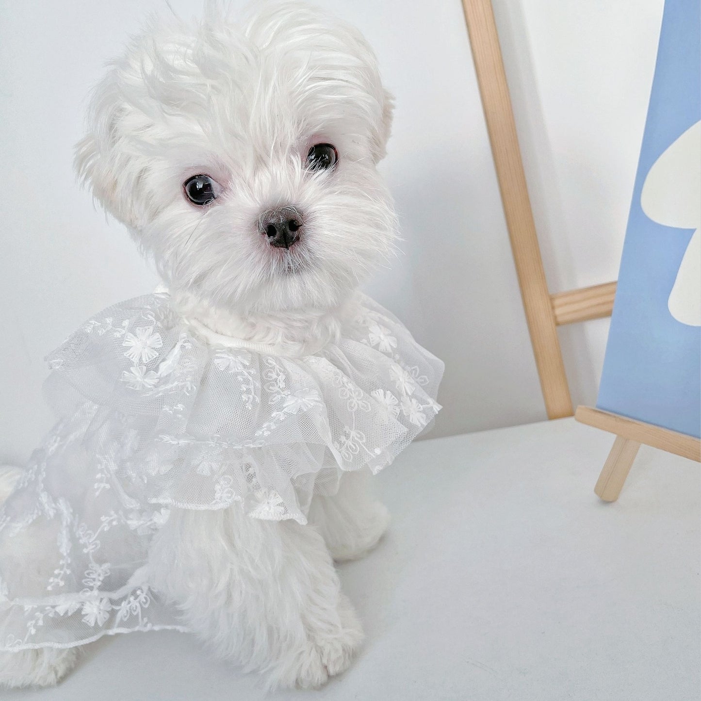 Falda de perro de verano, ropa fina, lindo bordado