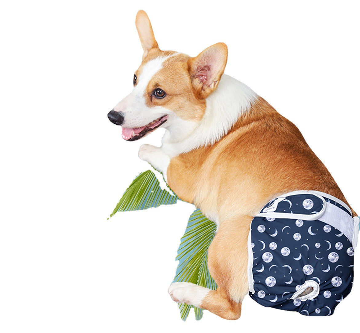 Couche-culotte lavable pour chien de compagnie, protection de l'environnement