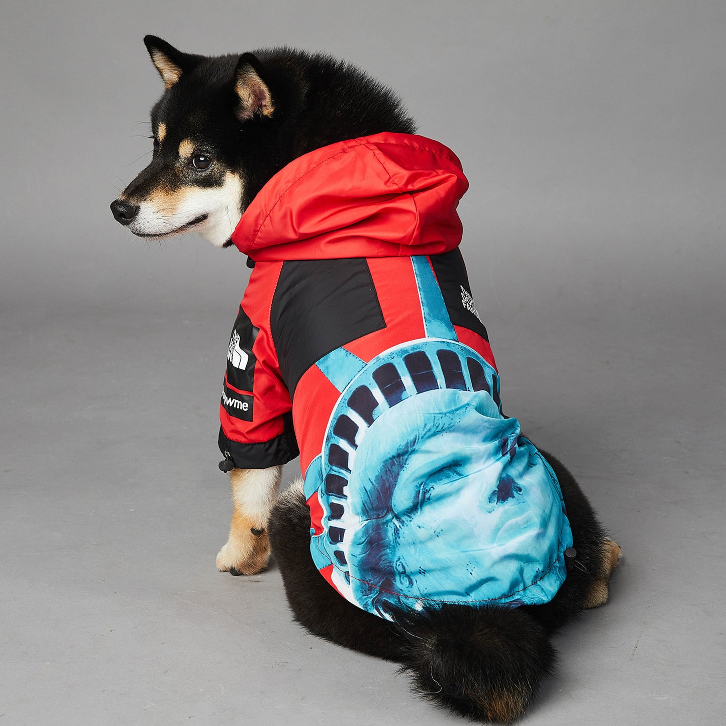 Veste pour chien coupe-vent et imperméable pour animaux de compagnie