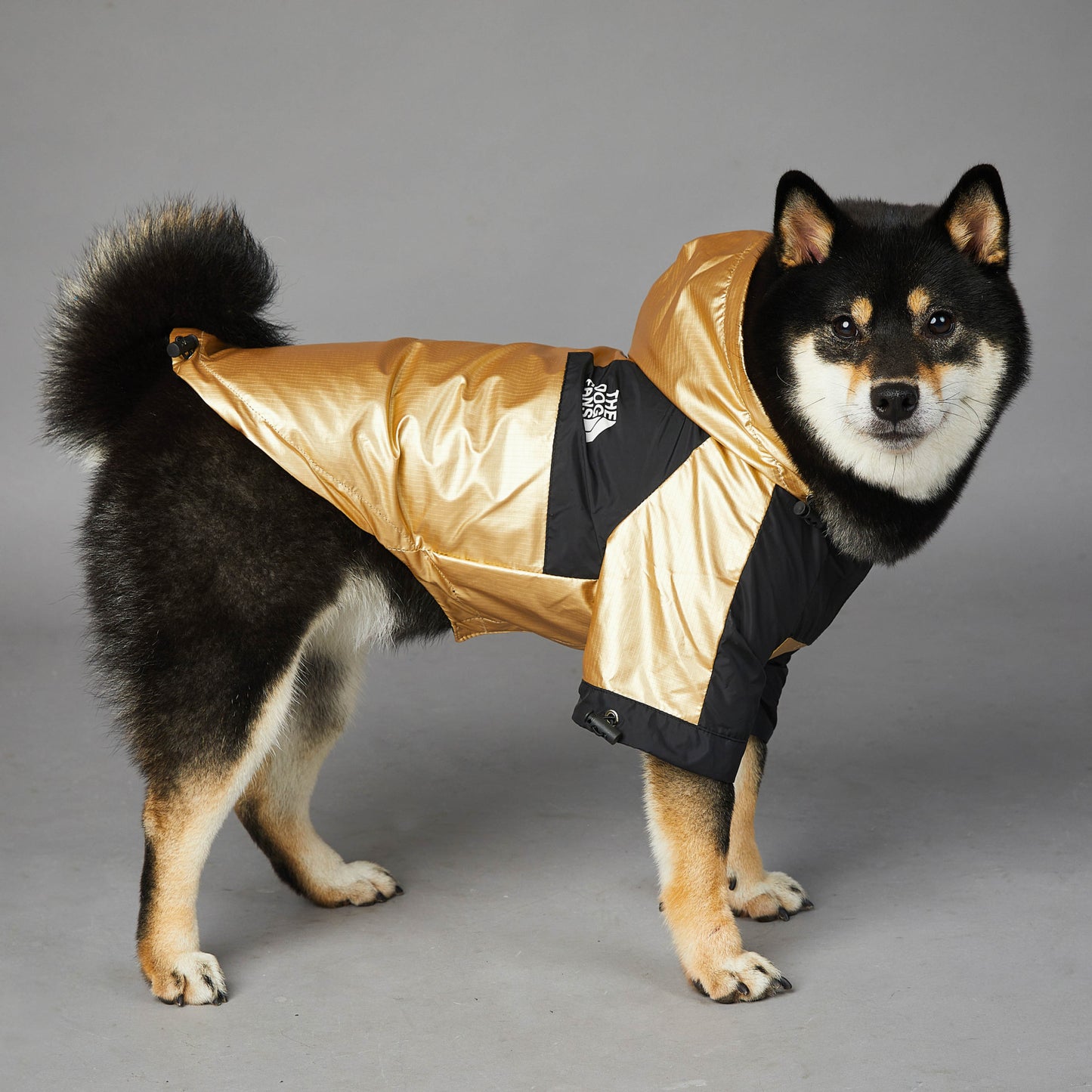 Chaqueta impermeable para perros grandes, resistente al viento y a la lluvia