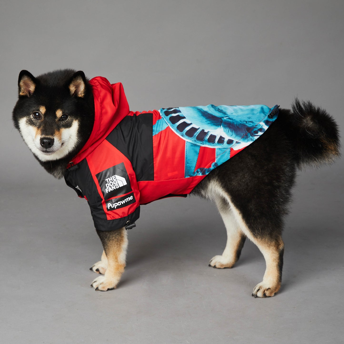 Veste pour chien coupe-vent et imperméable pour animaux de compagnie