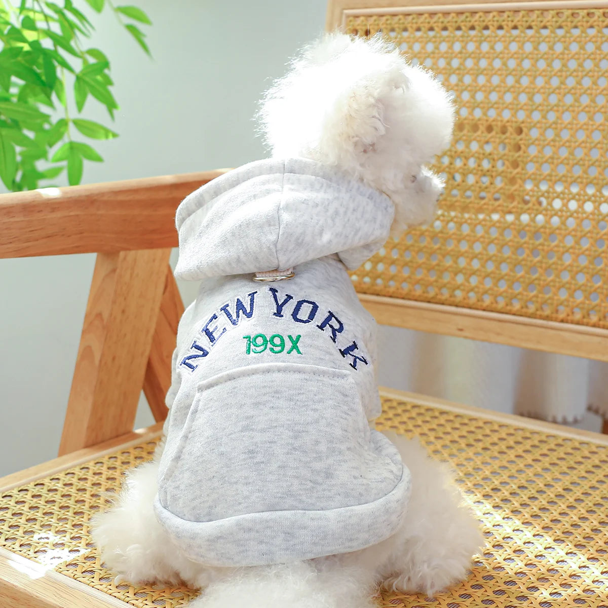 Ropa para mascotas, Abrigo con capucha informal gris con bolsillo de Nueva York, hebilla con cordón para perros pequeños y medianos, primavera y otoño, 1 ud.