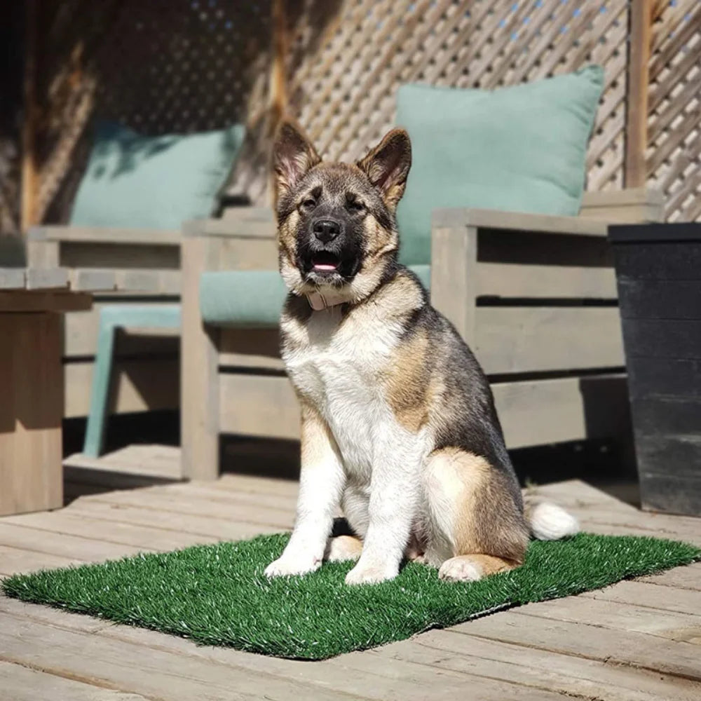 Pelouse artificielle simulée jardin cour antidérapant vert faux gazon tapis de remplacement tapis d'intérieur tapis de gazon pour animaux de compagnie décor à la maison