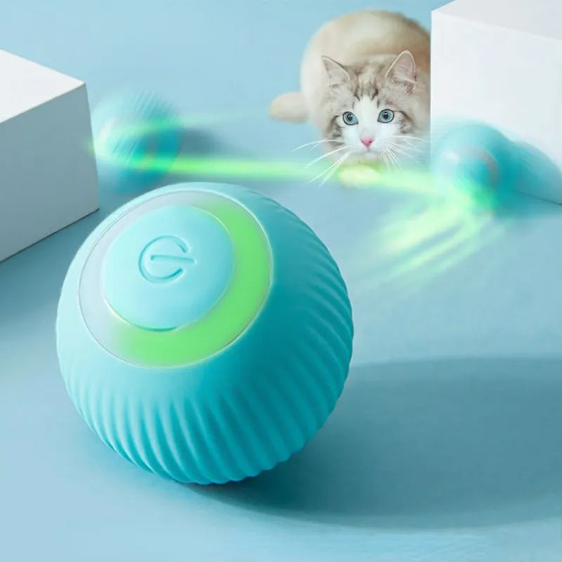 Jouet à roulement automatique pour chat, jouet d'entraînement pour chaton autopropulsé, jeu interactif d'intérieur, boule électrique intelligente, fournitures de jouets