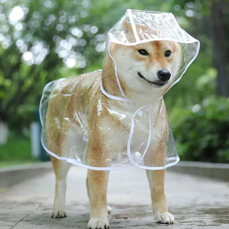 Chubasquero transparente para perro y cachorro, chaqueta impermeable con capucha para mascota, ropa suave de PVC, chubasquero para perros pequeños, Poncho de lluvia para cachorro