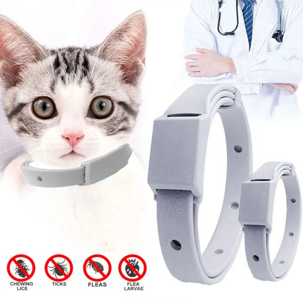 Collier anti-puces pour chat et petit chien, Protection antiparasitaire de 8 mois, collier réglable pour chiot et chaton, accessoires pour animaux de compagnie