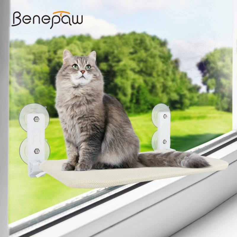 Benepaw-hamaca resistente para gatos, asiento de ventana, pared, percha para ventana de gatito, 4 ventosas fuertes, cama plegable para mascotas, interior, fácil de instalar