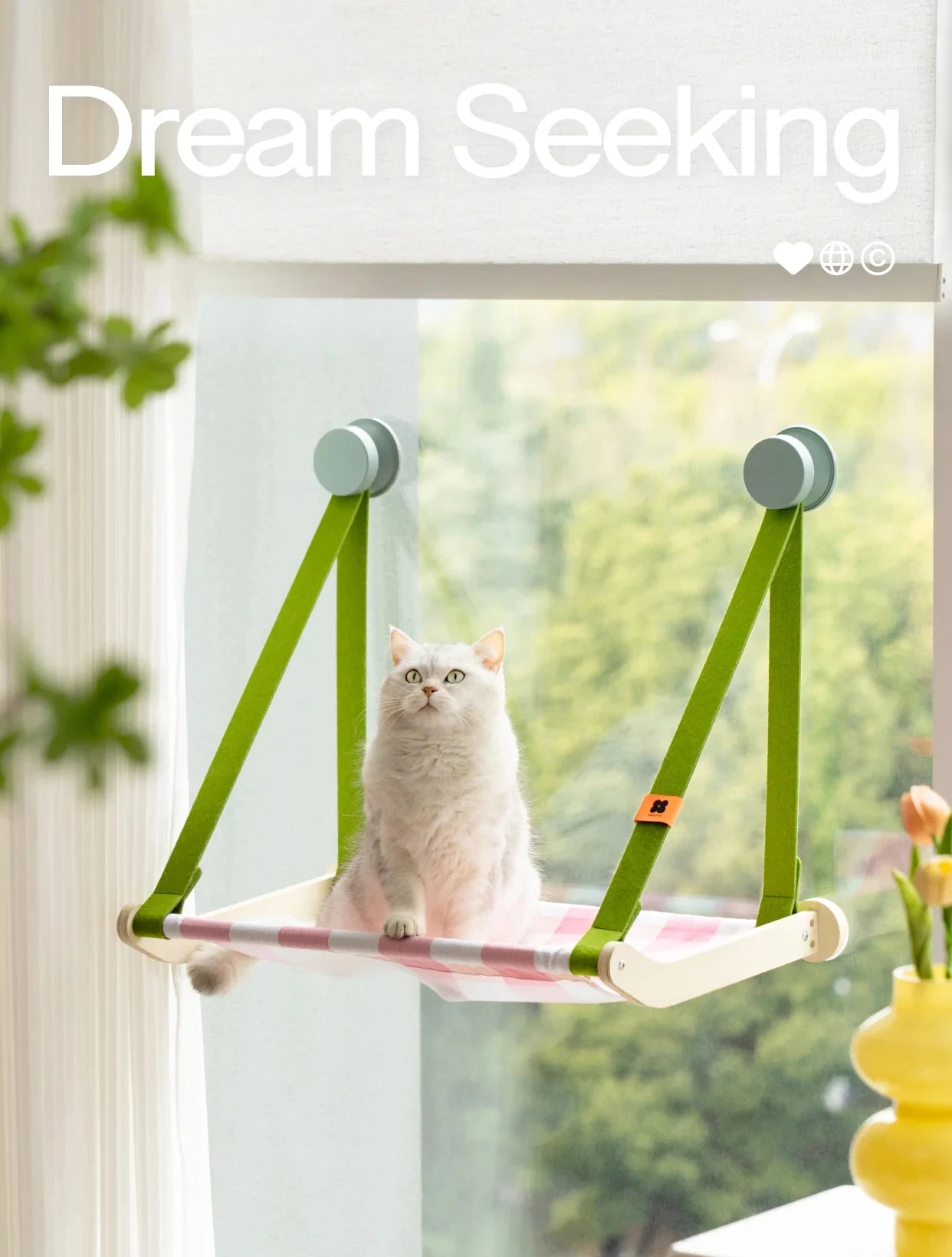 MEWOOFUN Spring Series Cat Window Perch Hammock Bed,Window Cat Perch with 4 Suction Cups Foldable Cat Window Seat for Indoor Cat