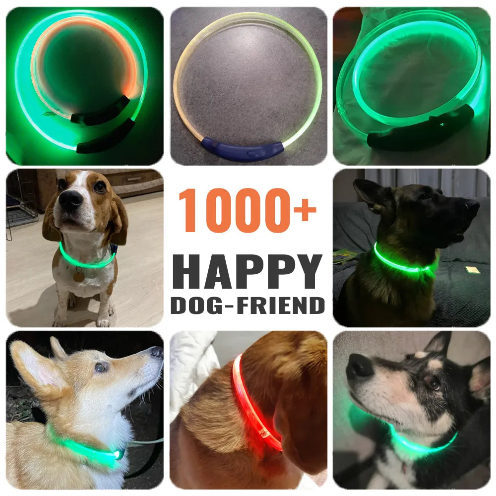 Collier LED pour chien et chat, lumineux et coloré, Visible à 300m, Anti-perte, IP67, Rechargeable, accessoires pour animaux de compagnie, chat et chien