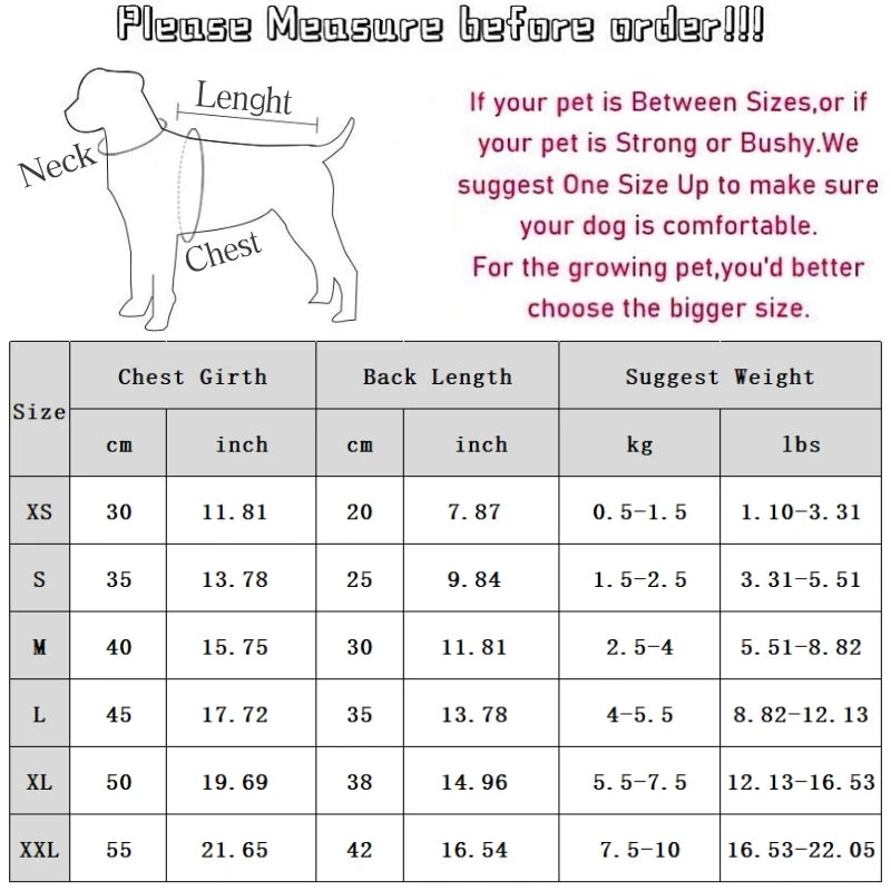 Chaleco refrescante de verano para perros, tirantes para cachorros, ropa bonita para perros, ropa para niñas, Bichon, Chihuahua, disfraz para perros, traje para mascotas, chaleco para perros