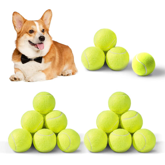 Lanceur de Tennis professionnel, 6 pièces, balle spéciale de 5cm, élastique, pour chien, jouet portable uniquement, pas de Machine