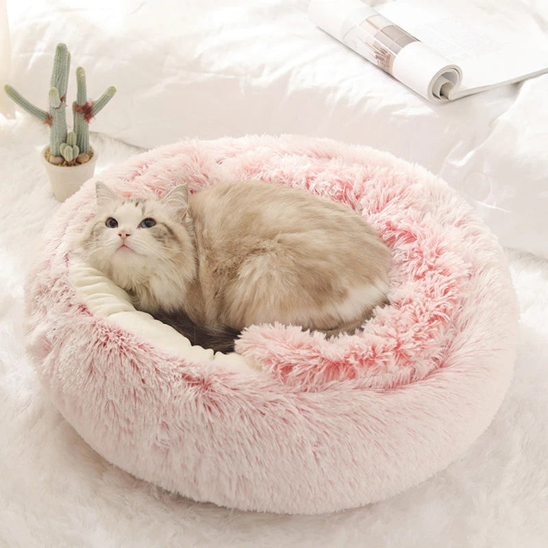 Pet Bed Basket Cats House Warm Accessories Products Supplies Tent & Furniture Kitten Sofa Cushions Clamshell Beds Winter For Cat