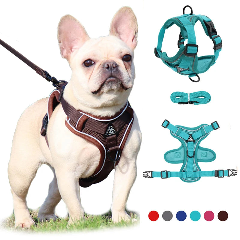 Ensemble de harnais pour chien et laisse, harnais réglable pour animaux de compagnie, gilet pour petit et grand chien, chat, maille réfléchissante, sangle de poitrine pour chiot et chat, accessoires pour chiens