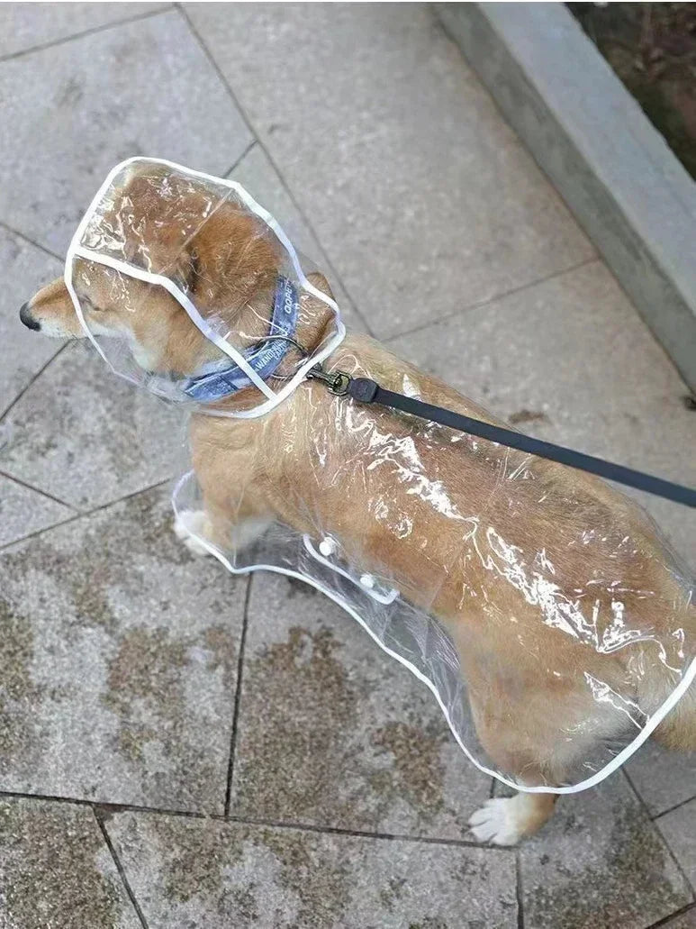 Chubasquero transparente para mascotas, chaqueta impermeable para mascotas, abrigo para perros pequeños y medianos, Poncho para perro Shiba, ropa para caminar al aire libre para mascotas