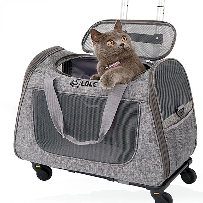 Sortie Portable respirant chiot transporteur tirer tige boîte boîtier de chariot pour animaux de compagnie chat voyage sac de Transport chat Cage sac à main chien sac à dos