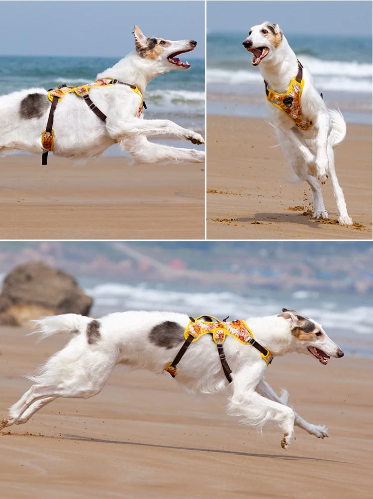 Arnés para perros, artículos para perros, chaleco de entrenamiento para caminar al aire libre, accesorios para perros, chaleco con arnés para mascota reflectante transpirable, suministros para mascotas