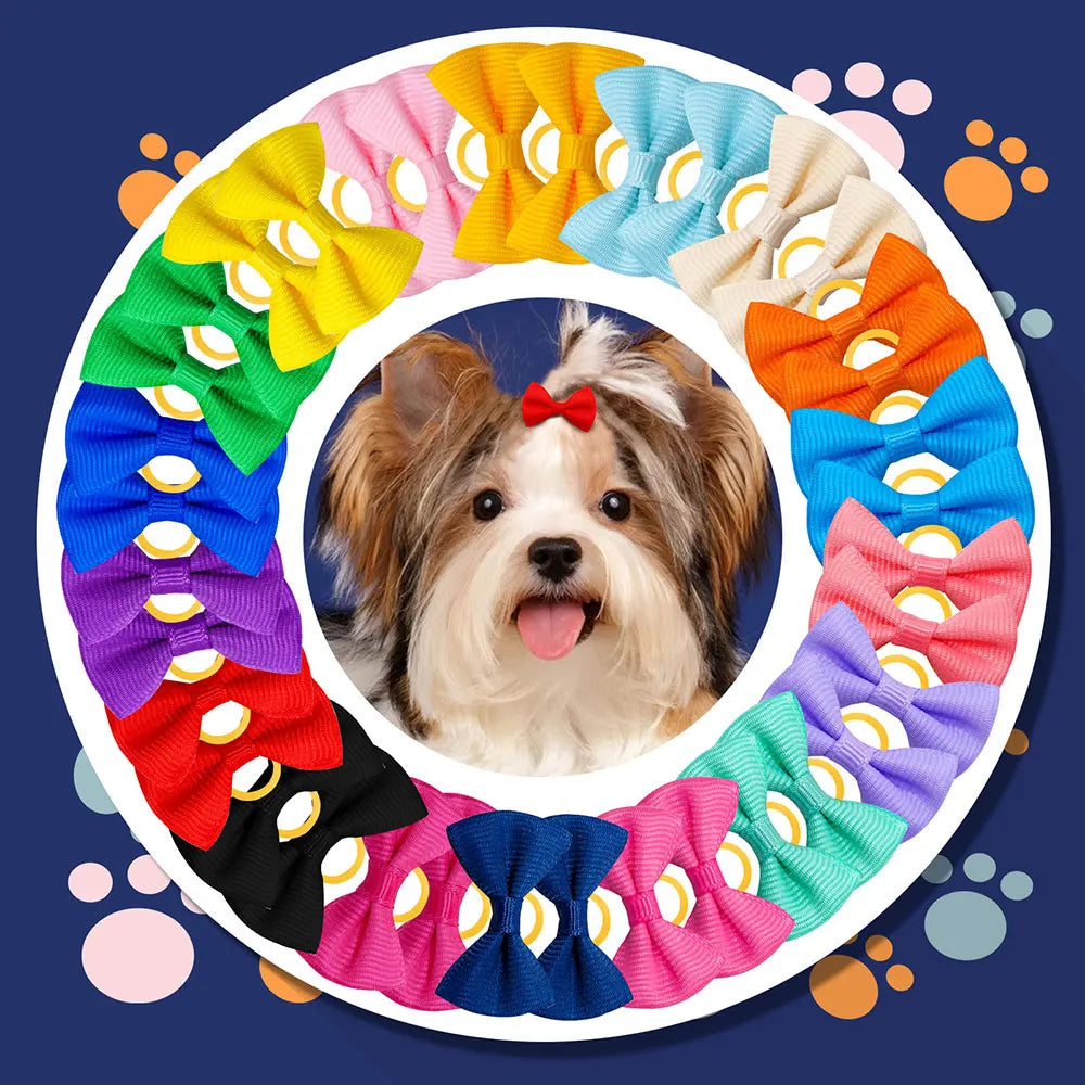 30 Uds. De lazos para el cuidado de mascotas, perros, gatos, cachorros, accesorios para el cabello para mascotas, decorar el cabello para perros pequeños, banda de goma, proveedor de perros