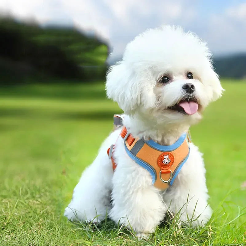 Arnés reflectante para perros y gatitos, arnés ajustable para mascotas, No transpirable y accesorios, arnés para juego de correa