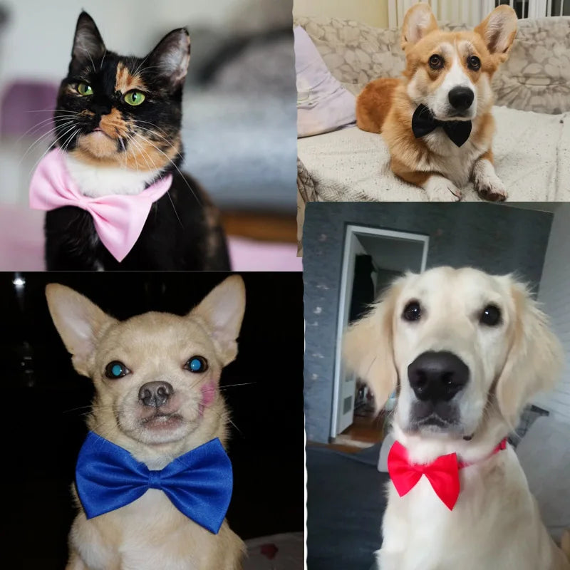 Collar con nudo para perro y gato, correa ajustable divertida y bonita, accesorios para perros, corbata para mascotas, suministros para cachorros, estilo de moda