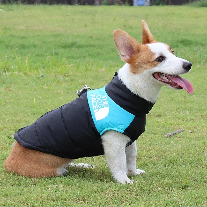 Ropa cálida de invierno para perros de compañía, chaleco para mascotas, chaqueta con cremallera, abrigos impermeables para perros pequeños, medianos y grandes, Bulldog Francés, Labrador