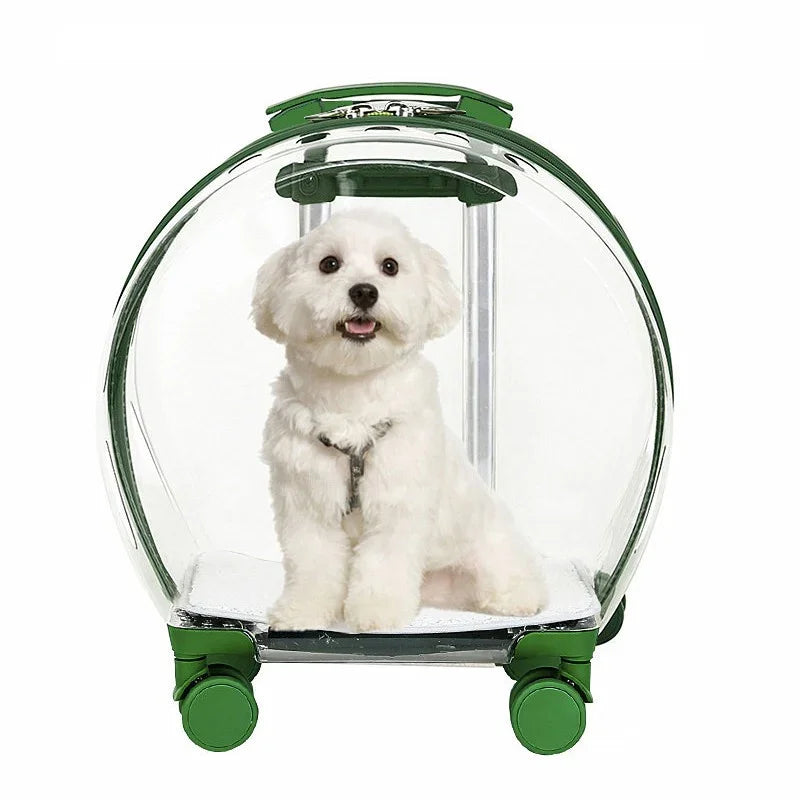 Cubierta de carrito para mascotas, transportador para gatos y cachorros, bolsa transparente para gatos, cochecito para mascotas, mochila portátil para gatos al aire libre, personalizable