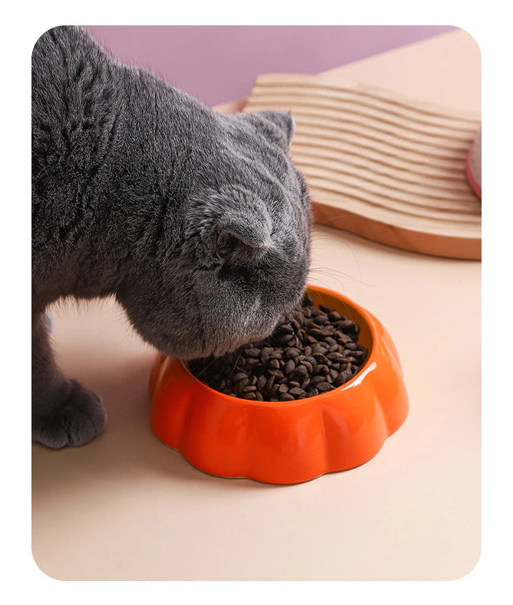 150ml Cat Ceramic Bowl Fruit Shape Pet Small Size Food Water Feeders Puppy Dog Drinking Eating Supplies