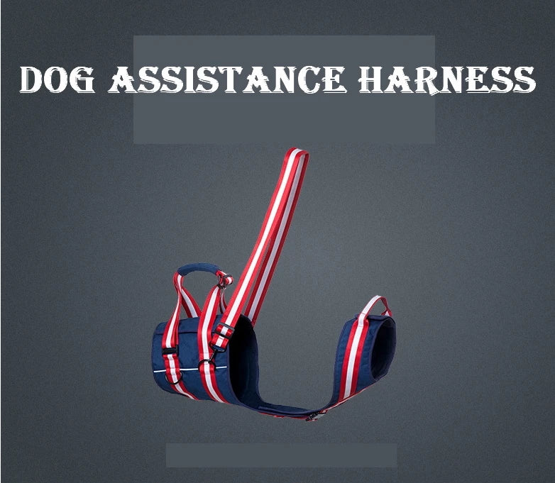 Harnais d'assistance réglable, Support de sangle de levage pour animaux de compagnie, accessoires de Traction pour chiens âgés, laisse, aide à l'entraînement et au comportement