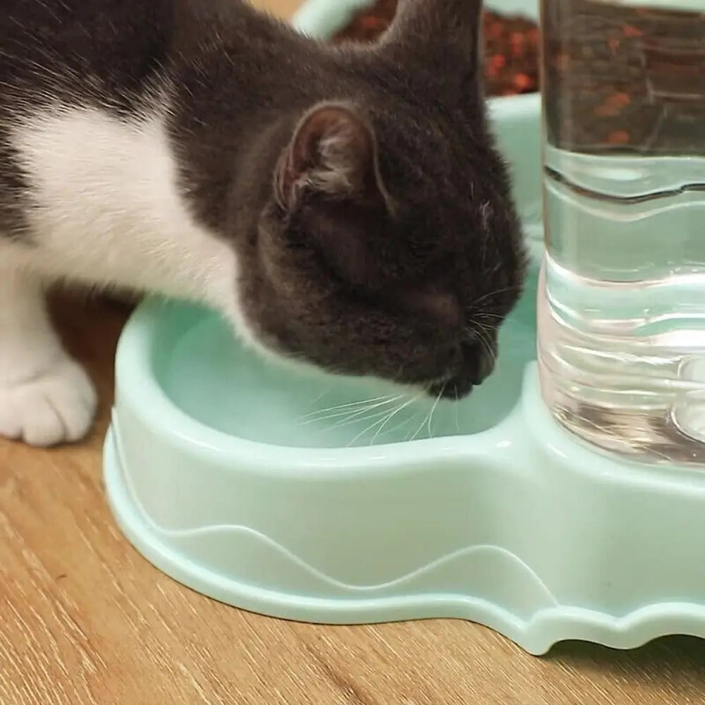 Alimentador automático para mascotas de 3,8l, dispensador de comida para perros y gatos de gran capacidad para beber agua, alimentación, dispensador de alimentos de esquina, cuenco de agua