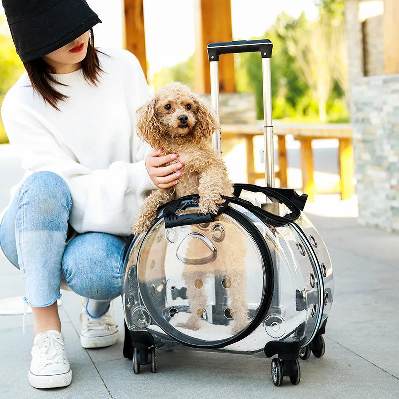 Maleta con ruedas para perros y gatos, equipaje con ruedas, Maleta transparente, mochila transportadora para Gato transpirable, cochecito para mascotas