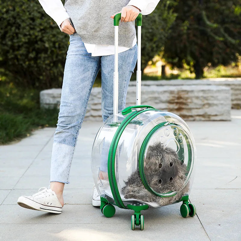 Boîtier de chariot pour animaux de compagnie, sac de voyage Portable pour sortie de chat, sac à dos Transparent de grande capacité pour chat, vente en gros