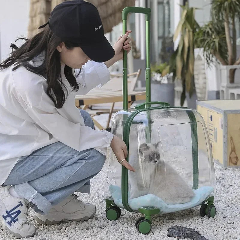 Sac à dos transparent pour animaux de compagnie, sac de transport pour chat, capsule portable, sac de transport pour animaux de compagnie