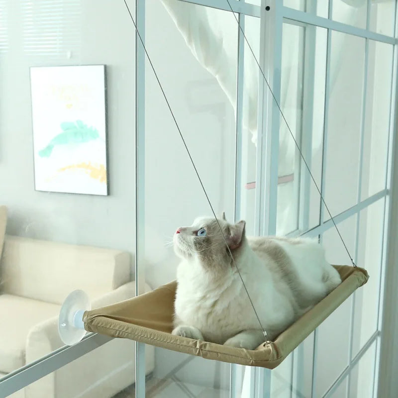 Hamaca para Gato, cama colgante para gato, cómoda, asiento con ventana soleada para gato, marco de escalada para gatito, accesorios para mascotas