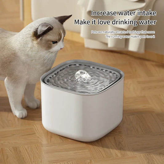 Fontaine d'eau pour chat 3L, filtre à recirculation automatique, grande capacité, buveur d'eau pour chat, distributeur d'eau électrique muet USB