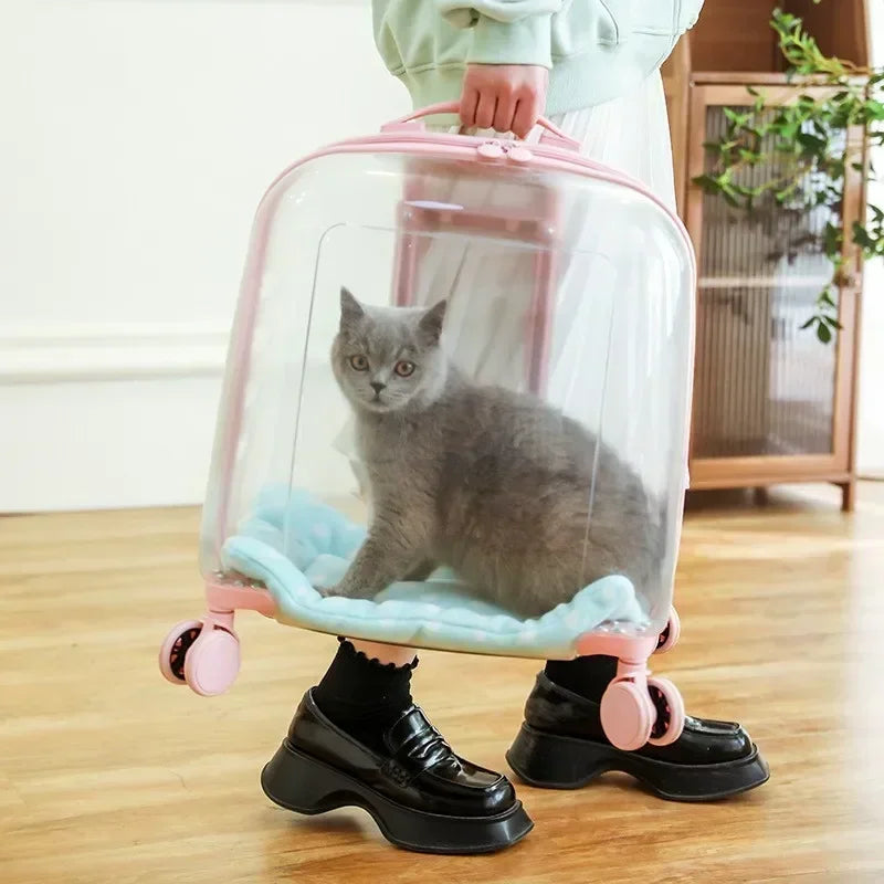 Mochila transparente para mascotas, bolsa transportadora para gatos, cápsula portátil, bolsa transportadora para mascotas