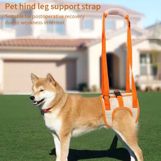 Écharpe réglable pour chien, jambes arrière, Support de hanche, accessoires pour animaux de compagnie, aide canine et rééducation ligamentaire, harnais de levage pour chien