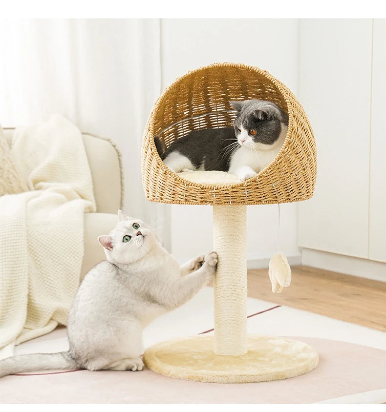 Árbol de escalada para rascar gatos, casa tejida de mimbre, trinquete de molienda para mascotas, poste rascador de Sisal, marco rascador para gatos, cama tipo nido, Juguetes