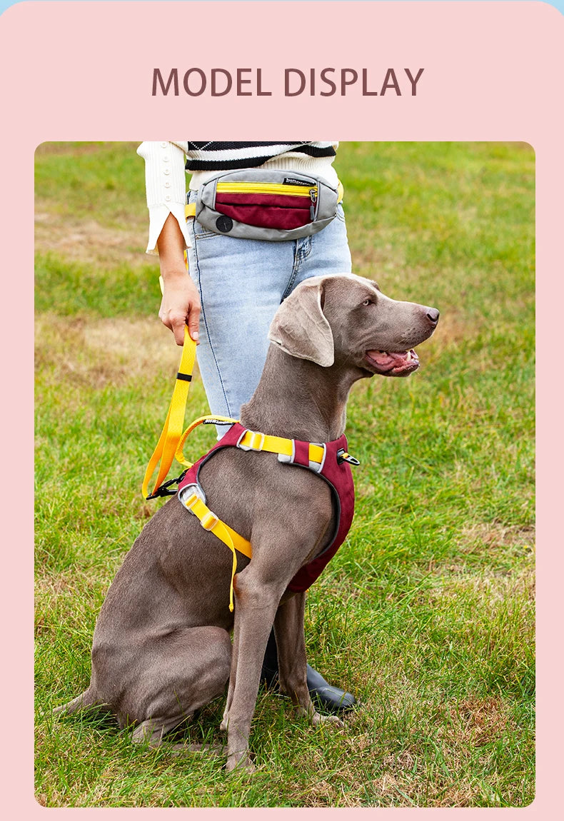 Arnés para perros, artículos para perros, chaleco de entrenamiento para caminar al aire libre, accesorios para perros, chaleco con arnés para mascota reflectante transpirable, suministros para mascotas