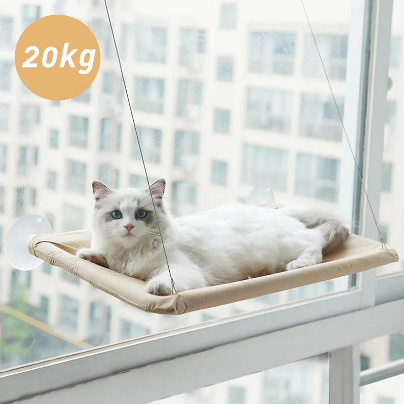 Hamaca para Gato colgante, rodamiento de cama para gato, 20Kg, cómodo soporte para asiento de ventana soleada para gato, marco de escalada para gatito, accesorios para mascotas