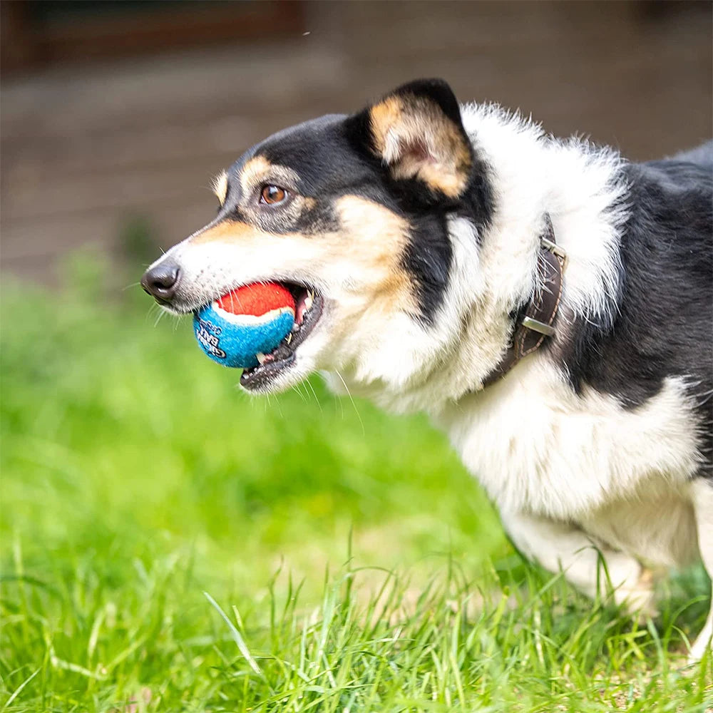 Pet Dog Squeaky Tennis Ball Interactive Dog Toys High Bounce Sound Rubber Ball  for Small Medium Dogs Training Outdoor Play Ball