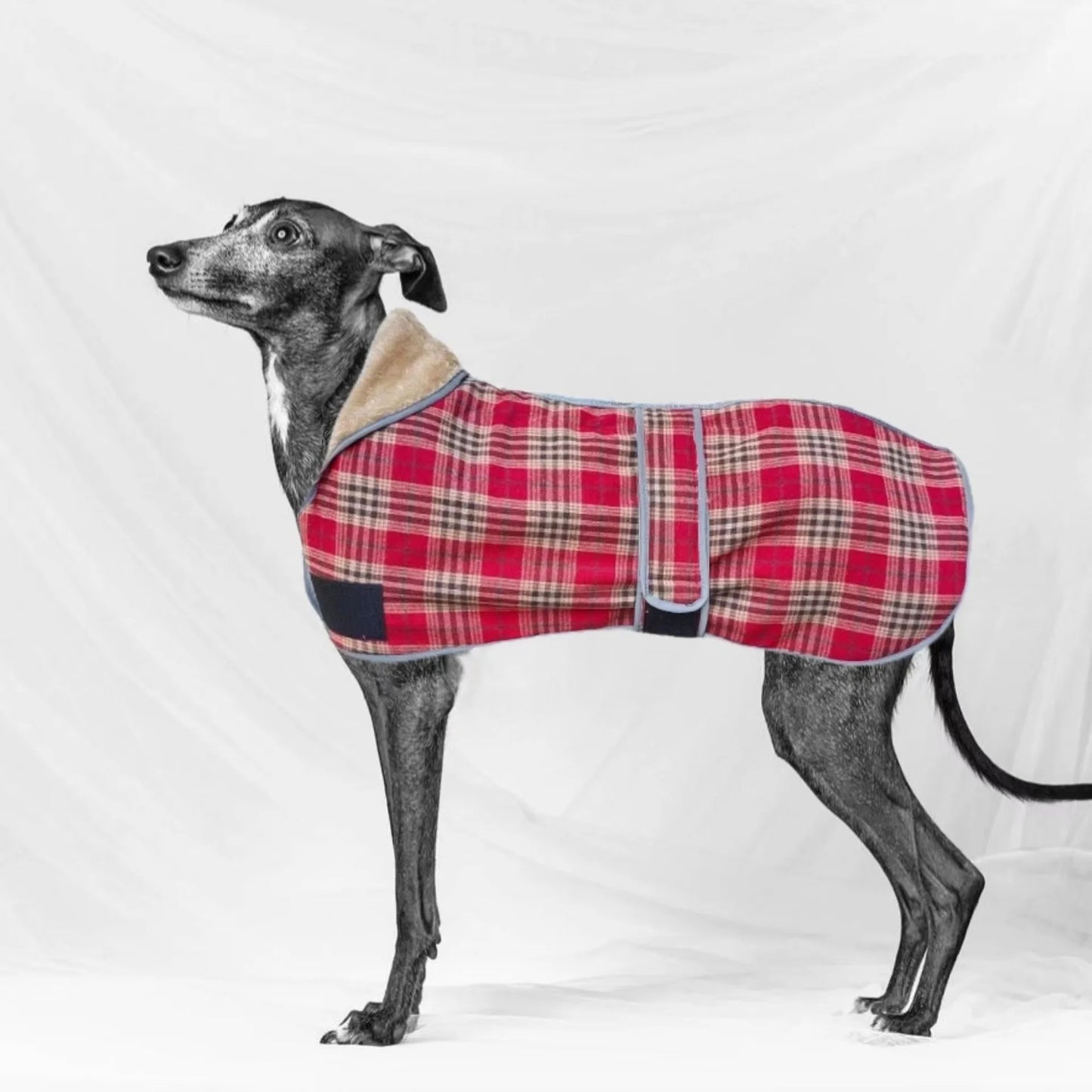 Abrigo para perros de primavera y otoño, ropa reflectante suave y cálida para perros medianos y grandes, chaqueta de lana a cuadros de estilo británico para mascotas, estilo de moda de galgo