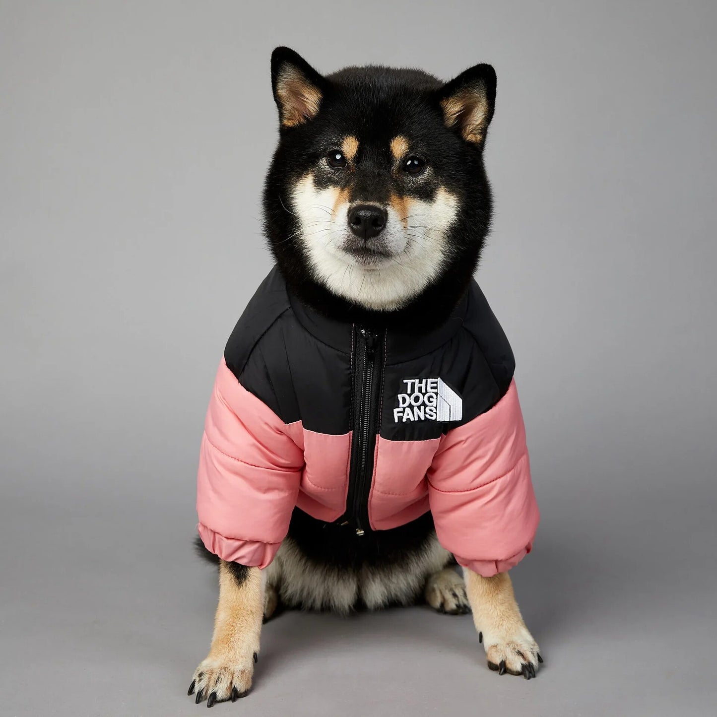 Chaqueta de invierno con cara de perro para perros pequeños y medianos, chaleco grueso y cálido para perros, abrigo para cachorros de Bulldog Francés, estilo de moda